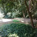 Moinho Do Granjao - Water Mill