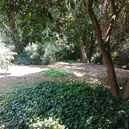 Moinho Do Granjao - Water Mill