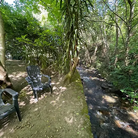 Pensión Moinho Do Granjao - Water Mill Mesão Frio