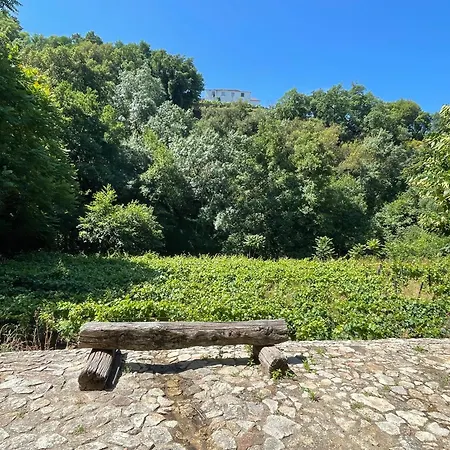 Moinho Do Granjao - Water Mill Mesão Frio