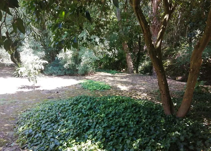 Moinho Do Granjao - Water Mill