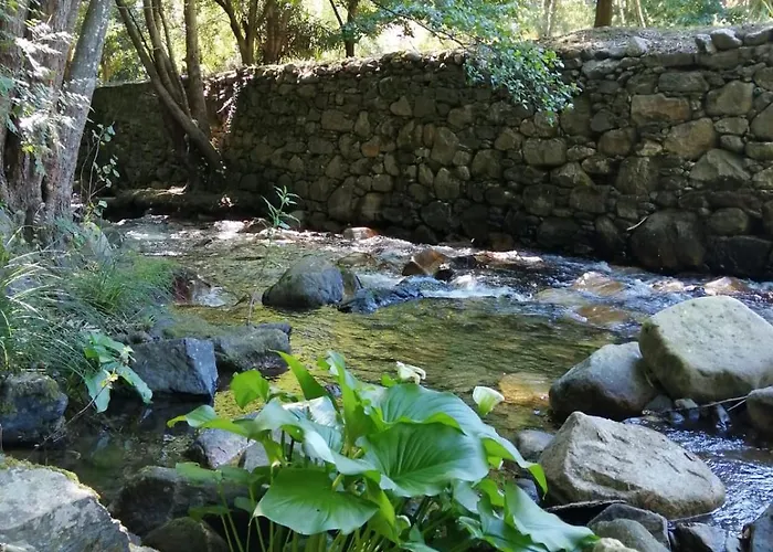 Moinho Do Granjao - Water Mill Guest house Mesao Frio