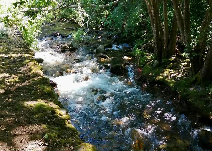 Moinho Do Granjao - Water Mill Mesão Frio