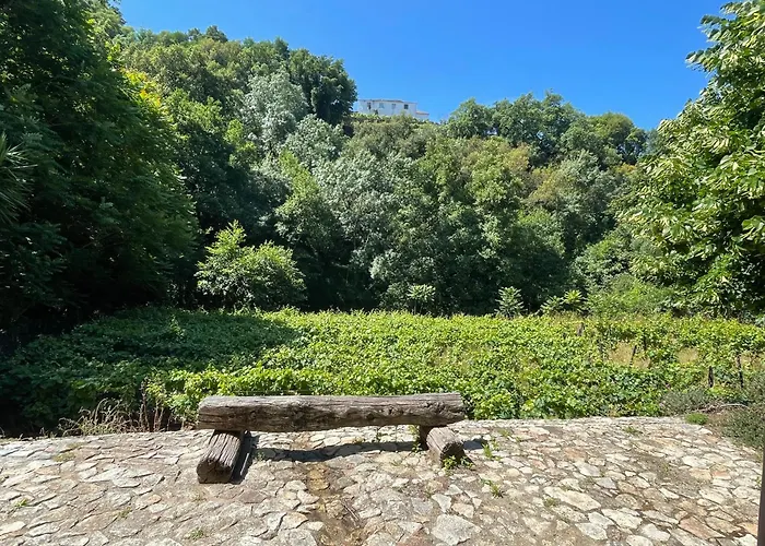 Moinho Do Granjao - Water Mill Mesao Frio